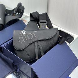 Dior Saddle Bag