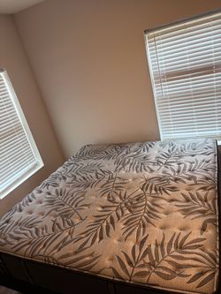 King Costco Mattress & box spring