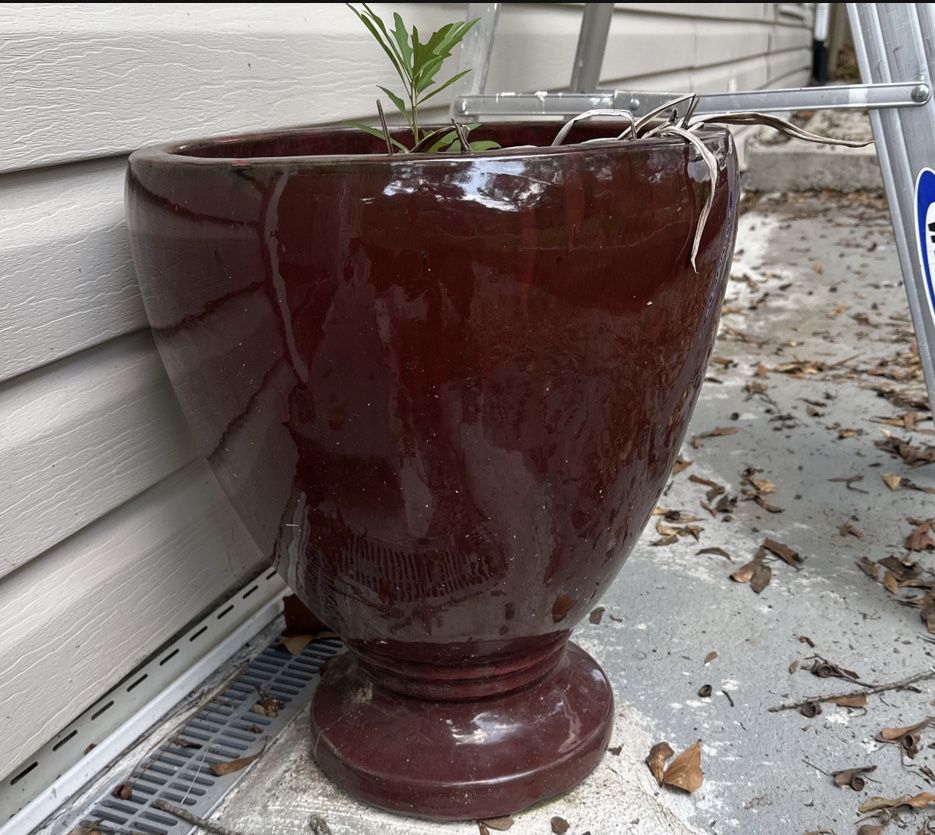 READ POST* Pots Plants Ceramic 