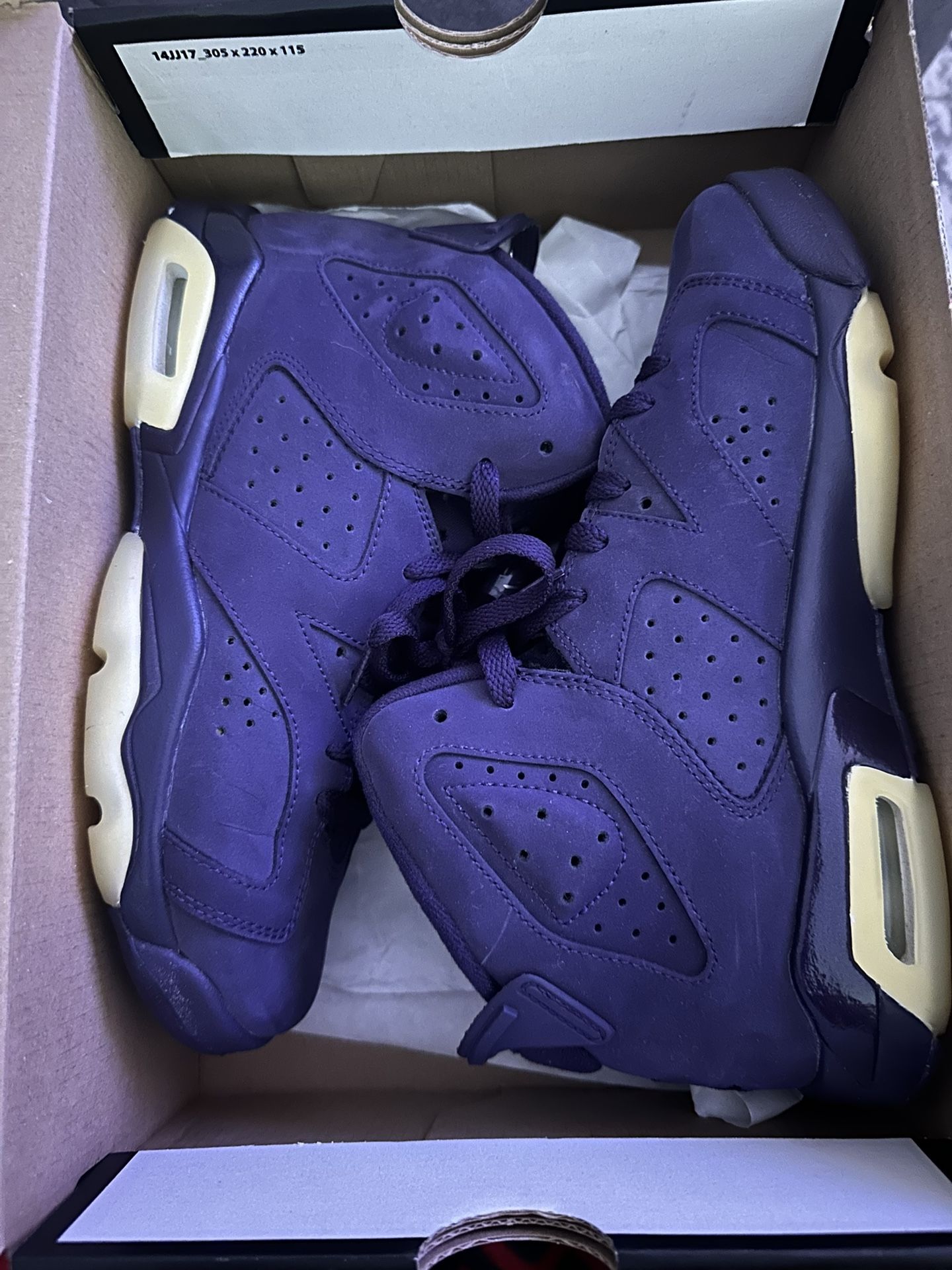 Jordan 6 Purple Dynasty 6.5Y