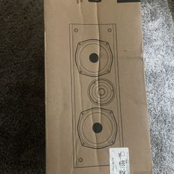 Speaker 
