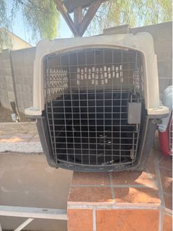 Large Plastic Pet Travel Crate