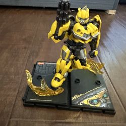 Bumblebee for sale