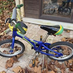 Schwinn Kid’s Bicycle 