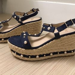 Beautiful Blue Platforms Wedge Sandals Size 8