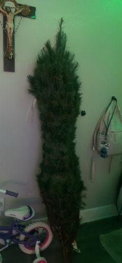 Árbol De Navidad Natural