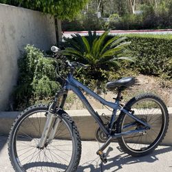 Giant Bike XS - Used 