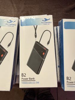 B2 Power Bank in bulk