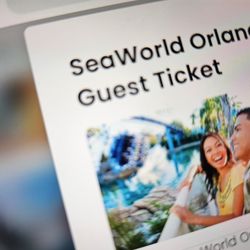 $20 Seaworld Ticket ! No Tricks ! All Treats ! Meet Att Gate