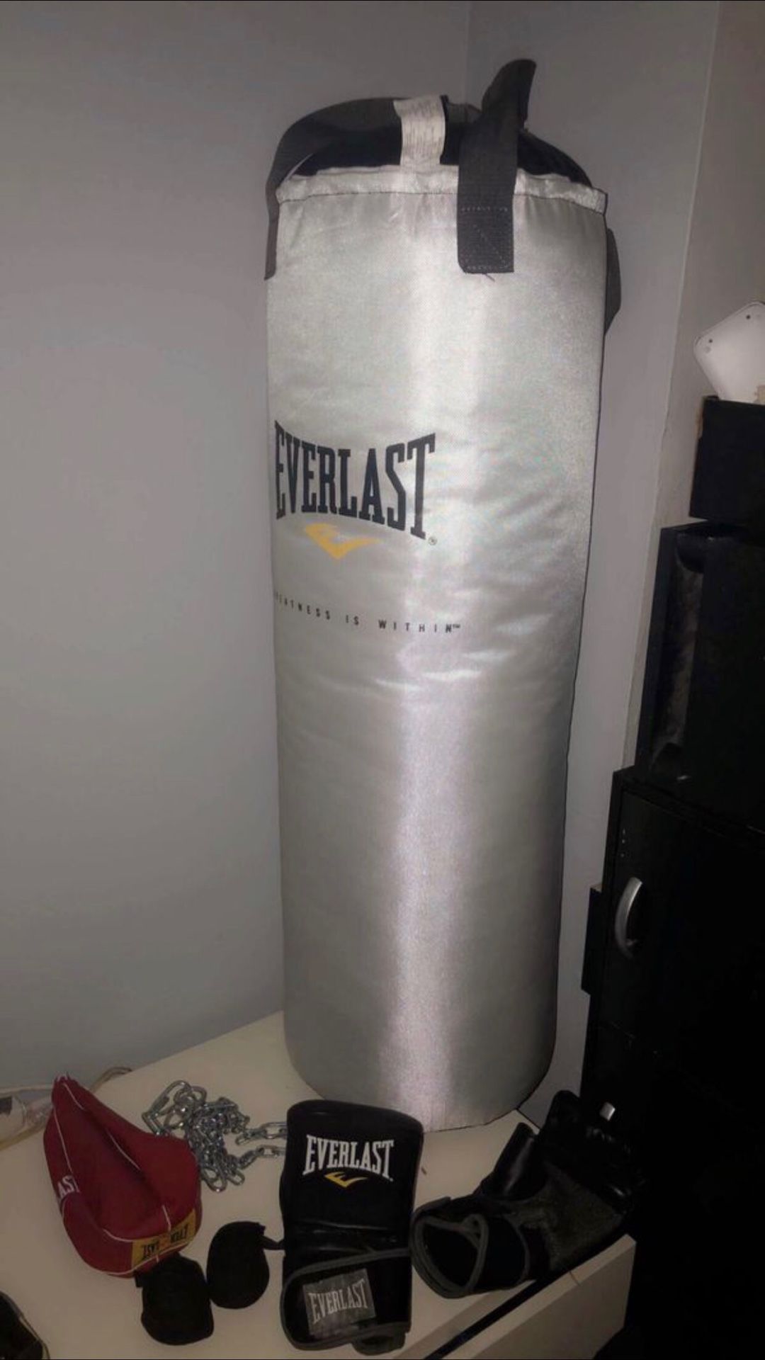 Everlast Punching Bag with accessories