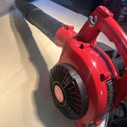 CRAFTSMAN 180 MPH 410 CFM 2-Cycle 25 cc Gas Handheld Leaf Blower