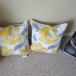 Throw Pillows