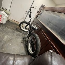 Fish Tank And Beach Cruiser Bike Fat Wheel