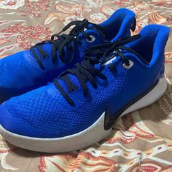 Kobe Mamba Focus TB
