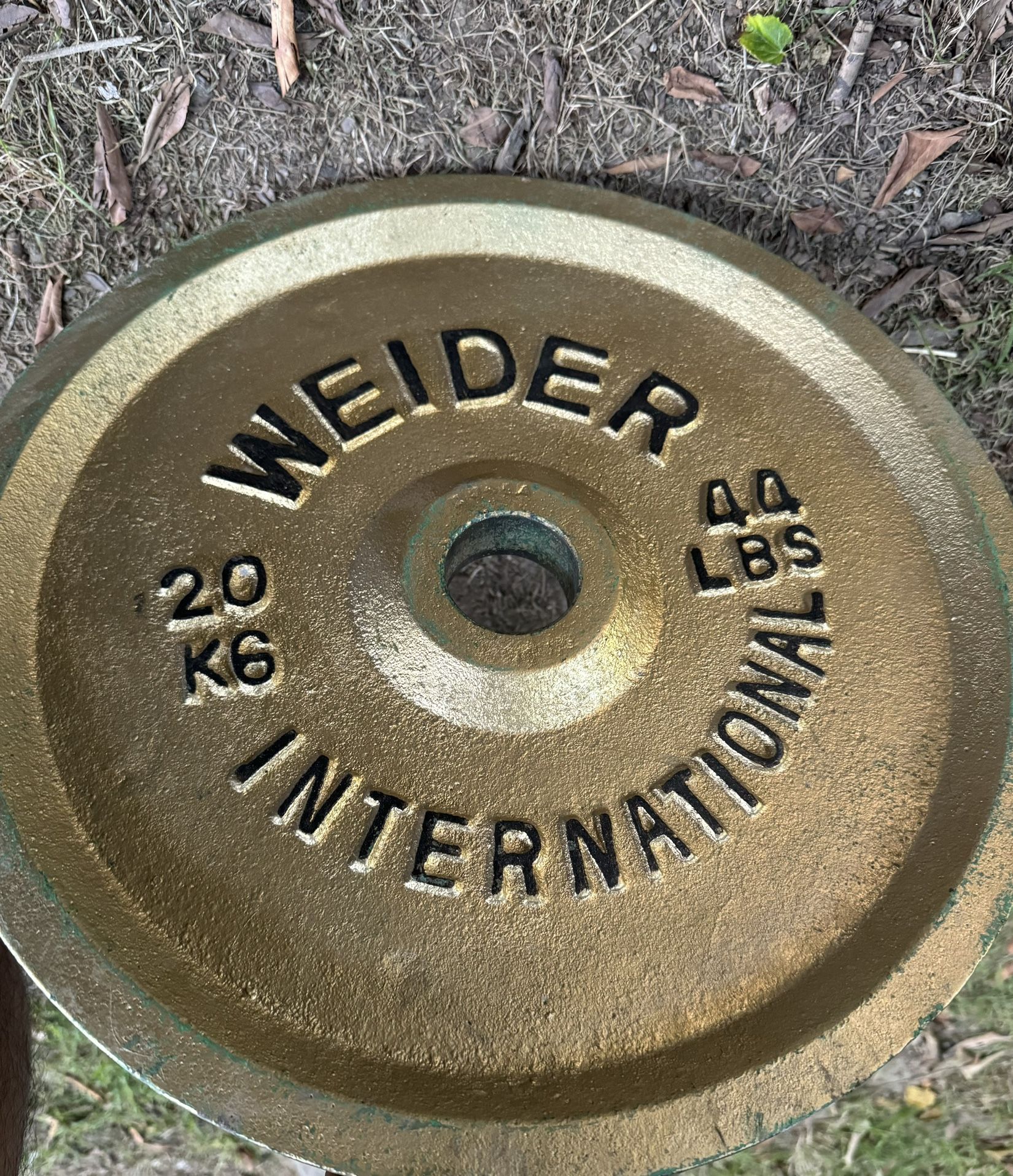 Weider 44lb Weight Plates Set
