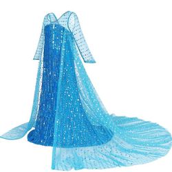 Elsa's Dress Costume