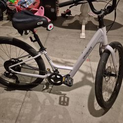 Specialized Roll