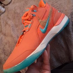 Nike Zoom LeBron NXXT Gen AMPD Size 13