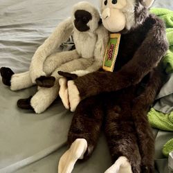 Hanging monkeys 