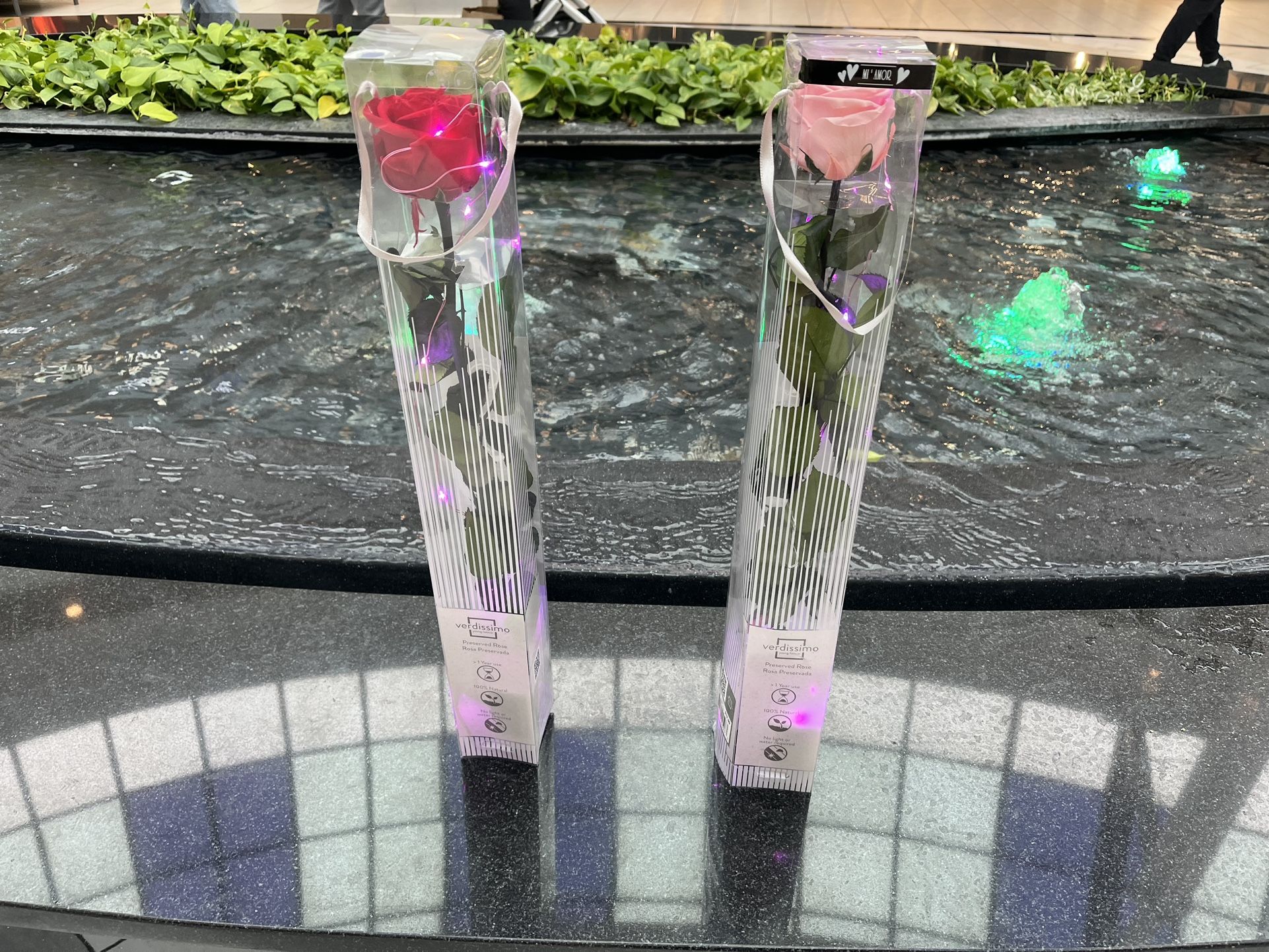 Led Roses 🌹