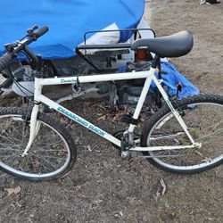 Multiple Bikes For Sale