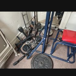 Weight Bench W/ Preacher Curl An Lay Pull Down Bar