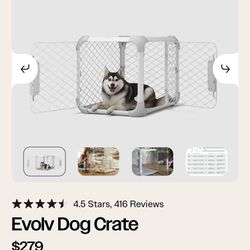 Intermediate Diggs Dog Crate 