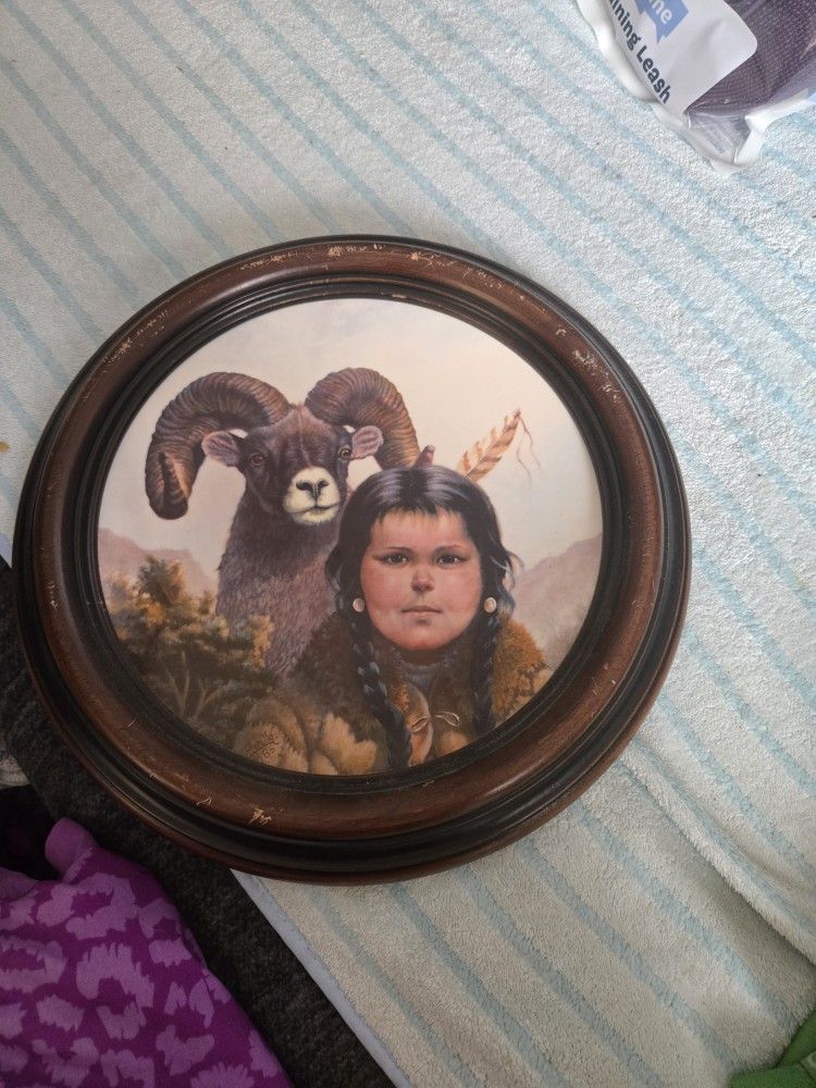 Indian Plates Collection