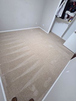 New carpet for sale!