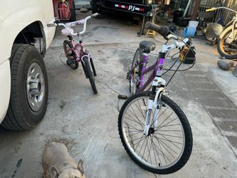 Girls Bikes 