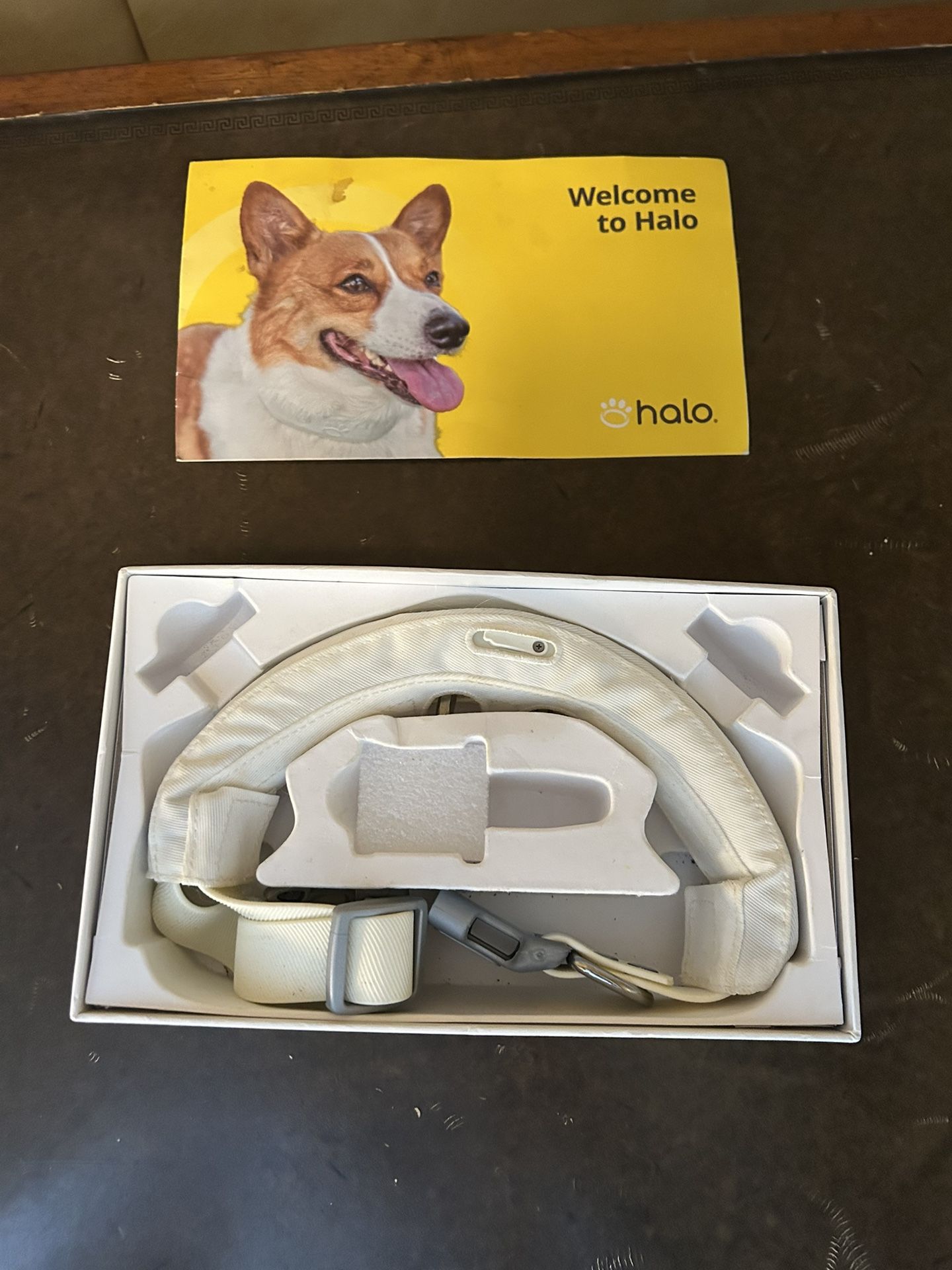 Halo Dog Training Collar $999 Value