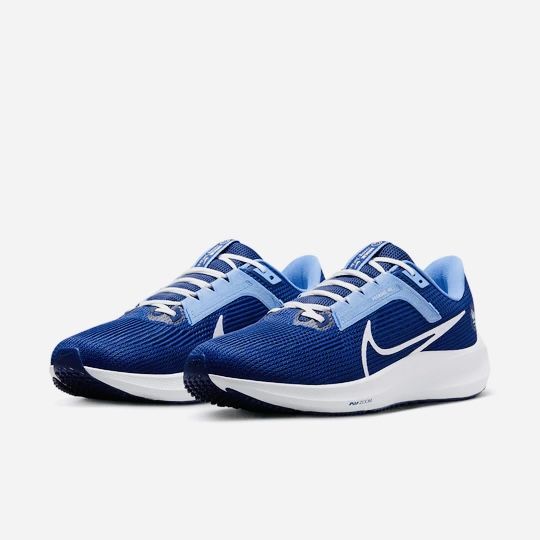 Nike Zoom Pegasus 40 France FFF Loyal Blue/White/Polar Mens 