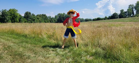 Life size luffy