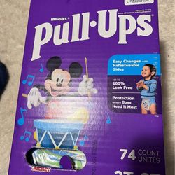 pull ups 2t 3t ( 73 count )