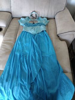 Princess Cinderella costume