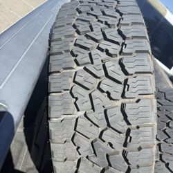 Wild Falken Peak Tires