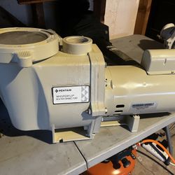 Refurbished Pool Pumps & Motors