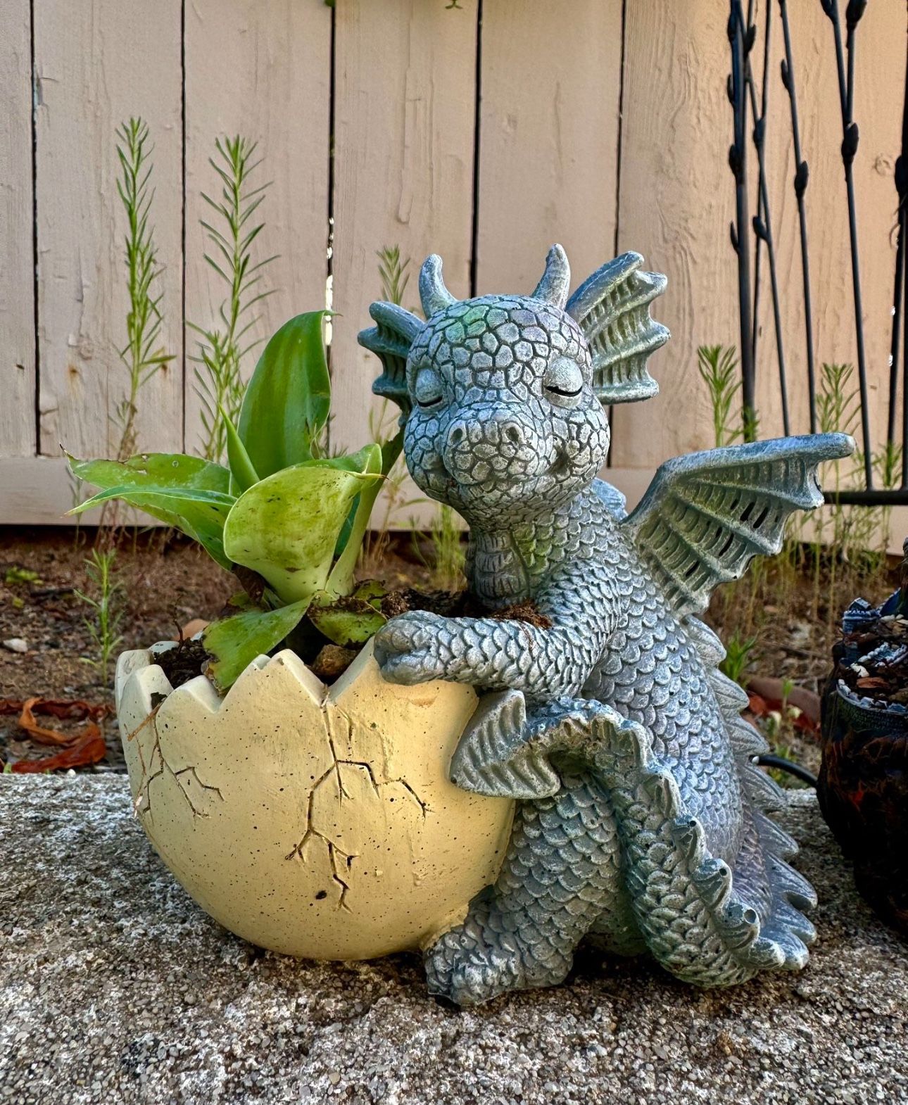 π₯ π₯π π Dragon + Egg Planter π₯ W Agave Plant πͺ΄
