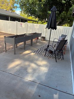 5 wood planters + Palms