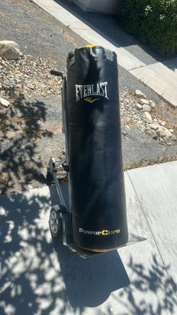 Punching bag, everlasting  Like new  Pick up in west Lancaster  Cash only