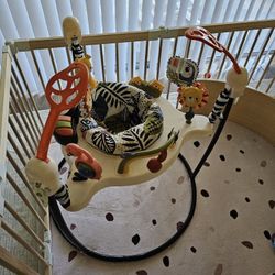Fisher-Price Baby Bouncer Palm Paradise Jumperoo