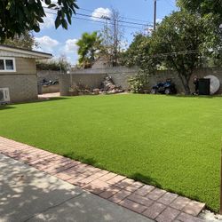 Artificial Grass