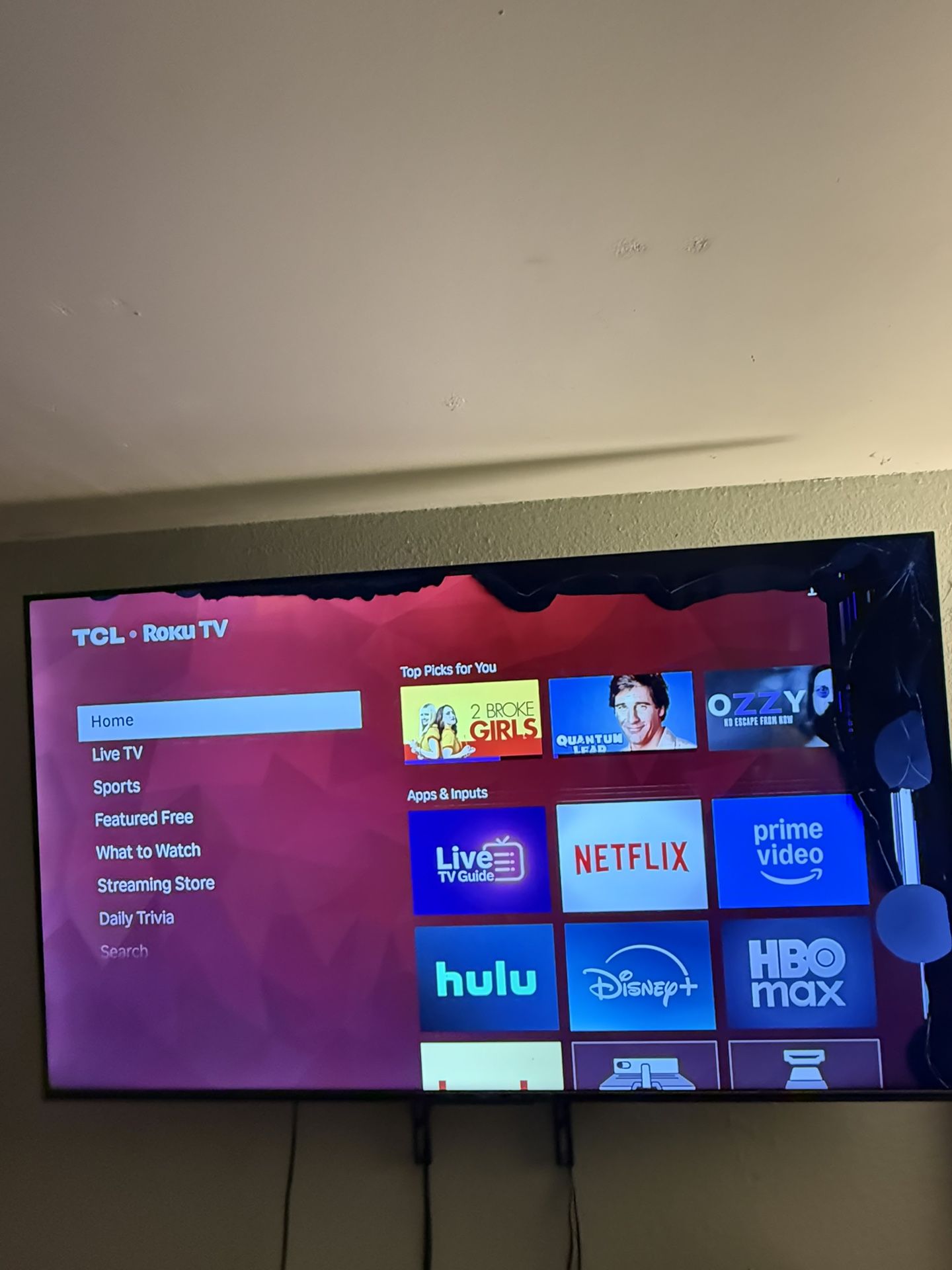55” TCL Roku TV Screen (some damage)