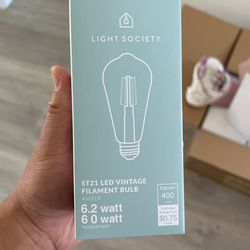 Light Society 60W Light Bulbs Dimmable