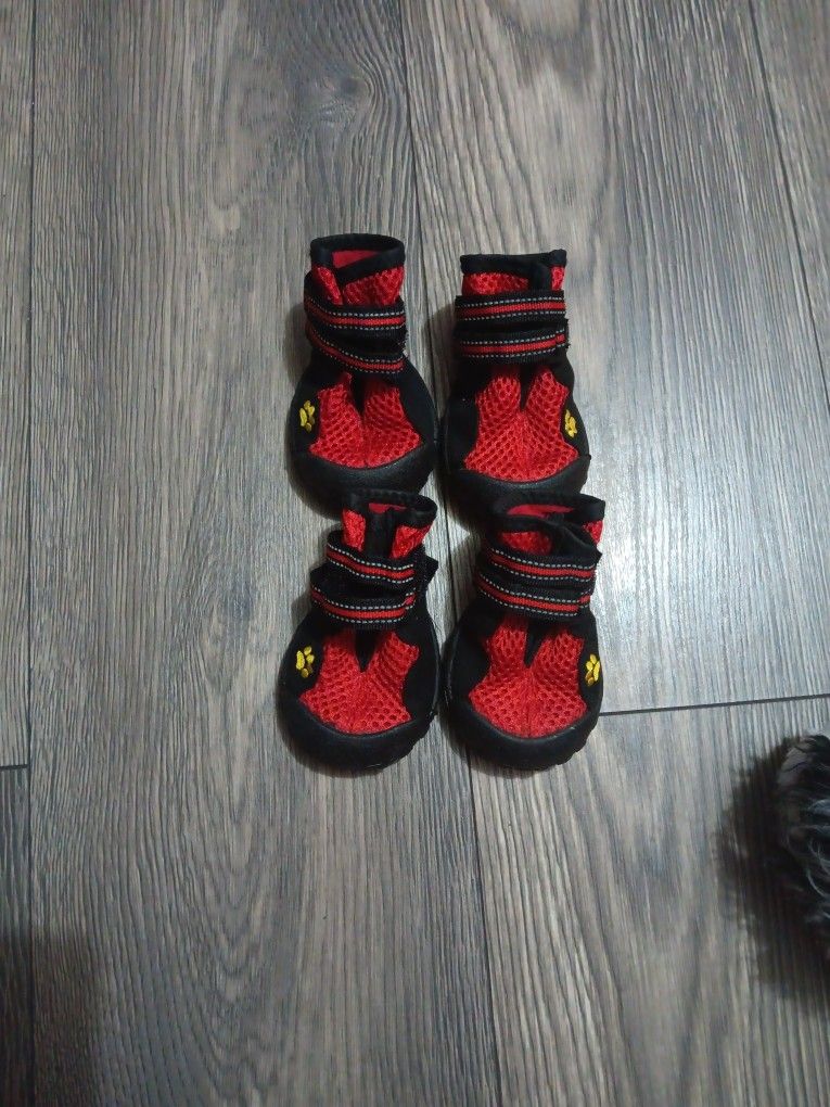 Tenis Para Perros Nuevos Size 5.