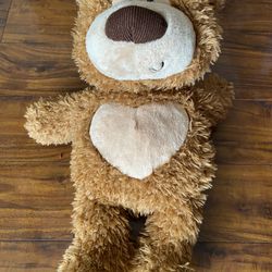 Teddy Bear,  For Puppies 