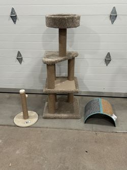 Cat Condo & Scratchers