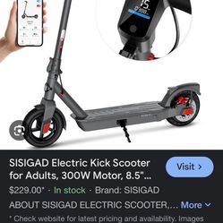 SISIGAD ELECTRIC SCOOTER