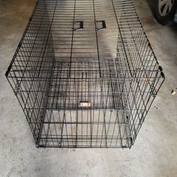 Dog Crate

