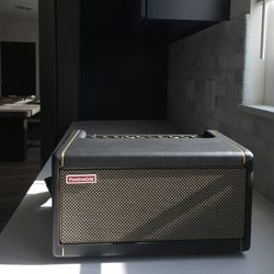 Spark 40 Watt Positive Grid